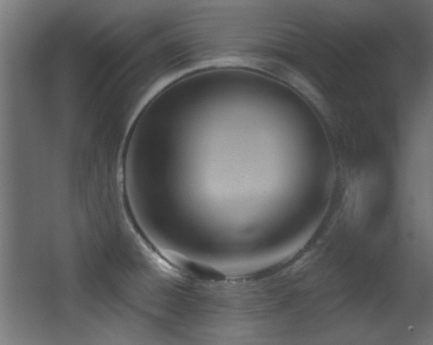 X0000068321428200604211153
