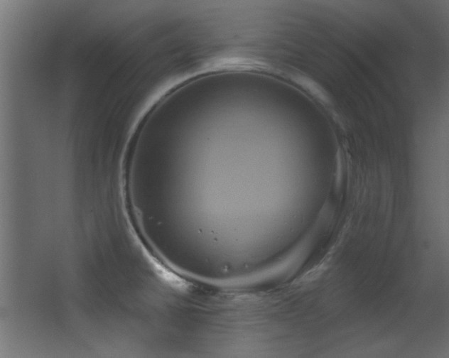 X0000068321430200604211154