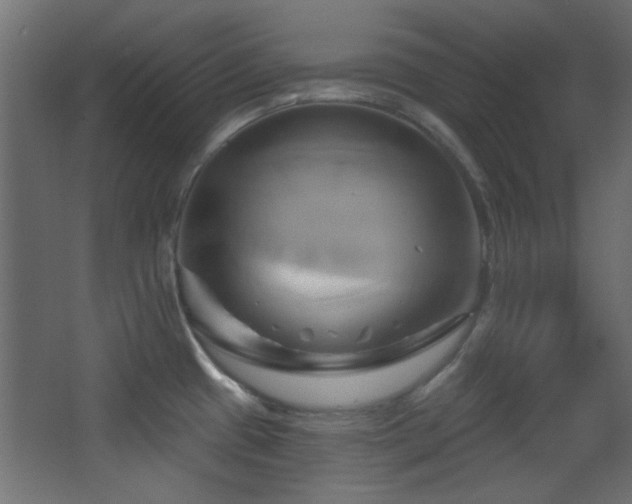X0000068321433200604211154