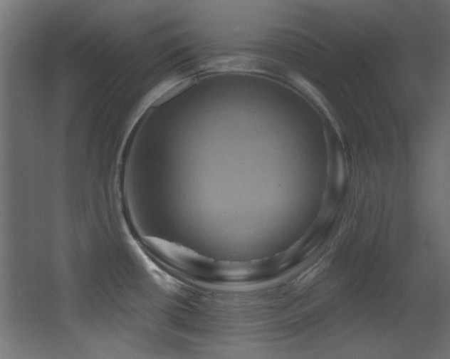 X0000068321434200604211154