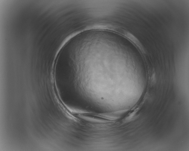 X0000068321436200604211154