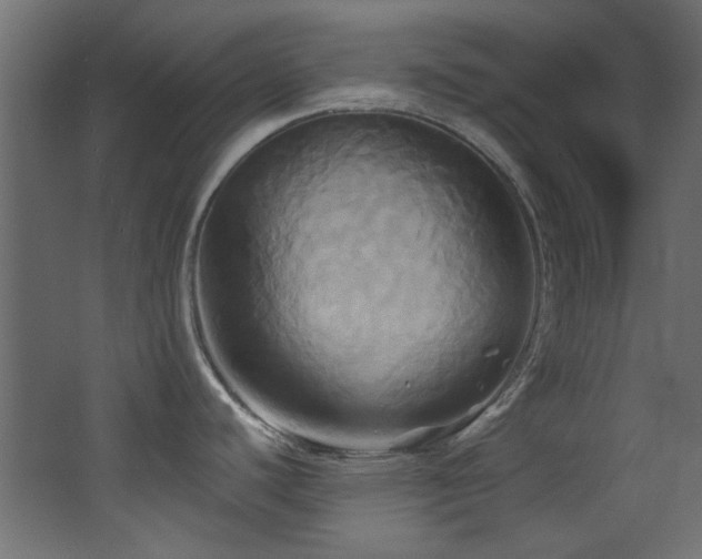 X0000068321440200604211154