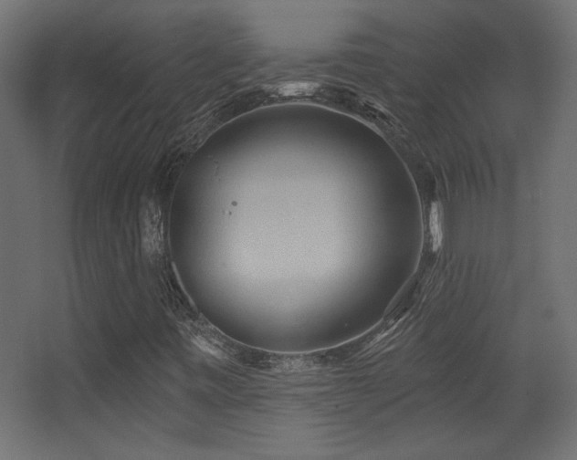X0000068321443200604211153