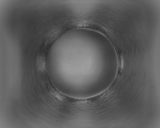X0000068321444200604211153