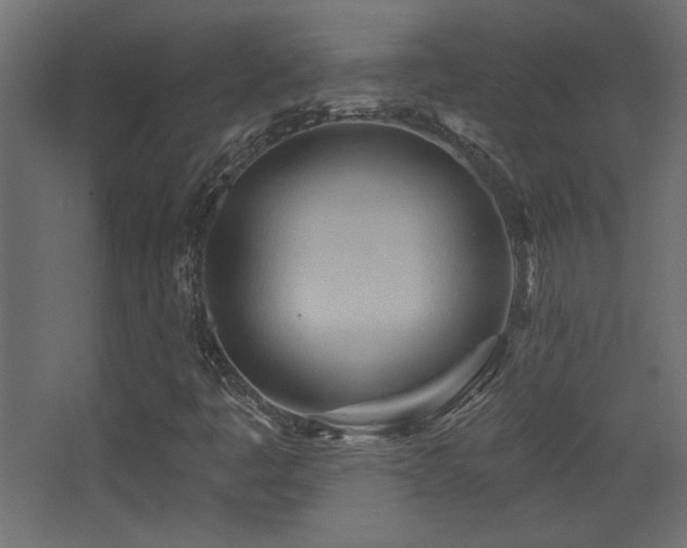 X0000068321445200604211153