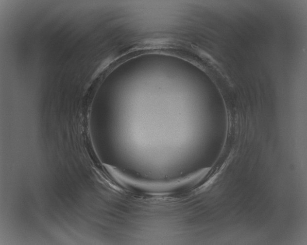 X0000068321449200604211153