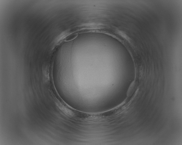 X0000068321451200604211153
