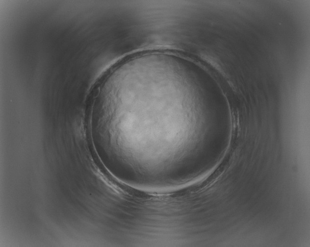 X0000068321452200604211153