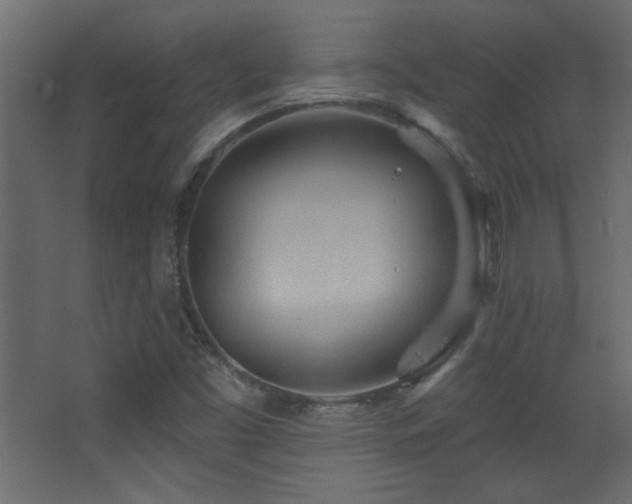 X0000068321453200604211153