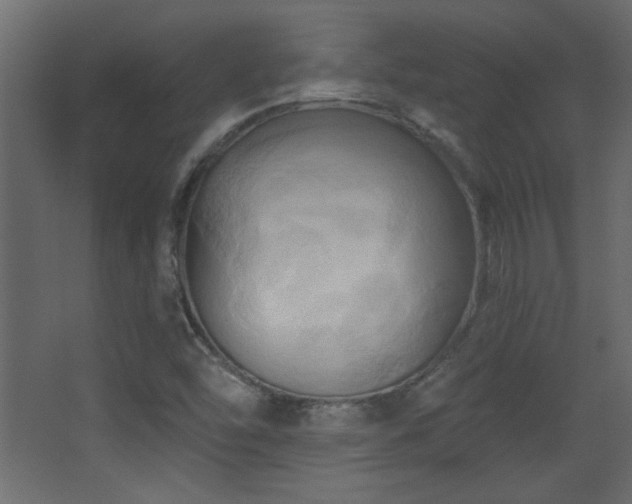 X0000068321454200604211153