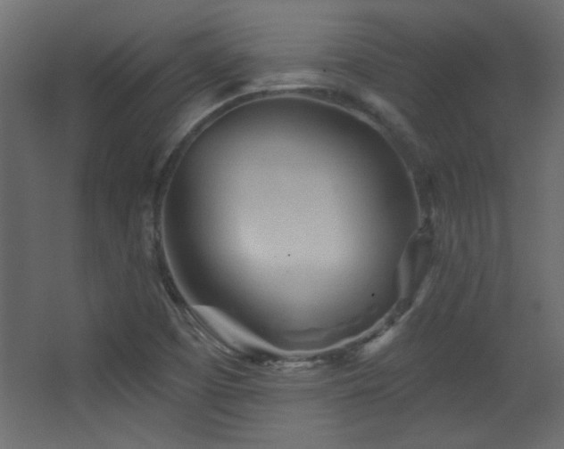 X0000068321457200604211153