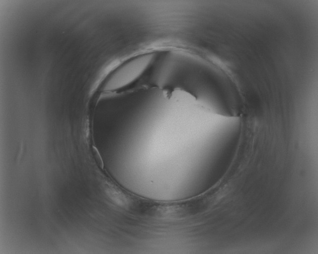X0000068321461200604211153