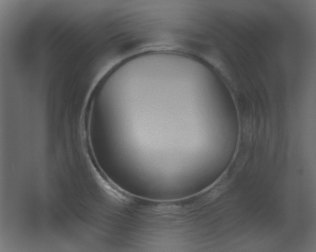 X0000068321466200604211152
