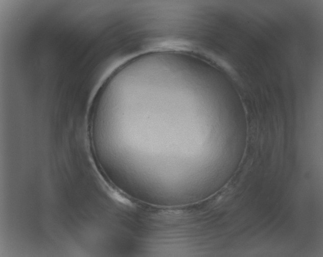X0000068321470200604211152