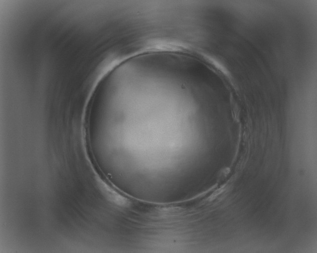 X0000068321471200604211152