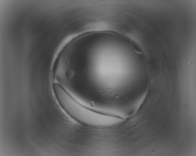 X0000068321472200604211152