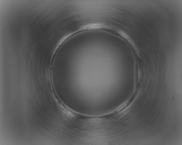 X0000068321473200604211152