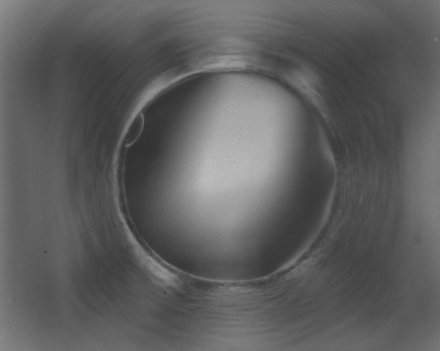 X0000068321475200604211152