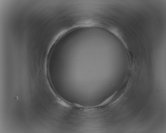 X0000068321477200604211152