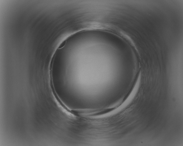 X0000068321479200604211152