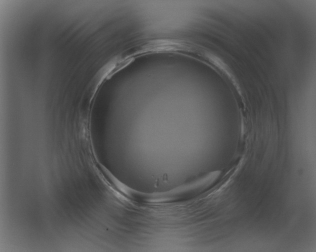 X0000068321481200604211152