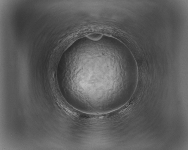 X0000068321489200604211151