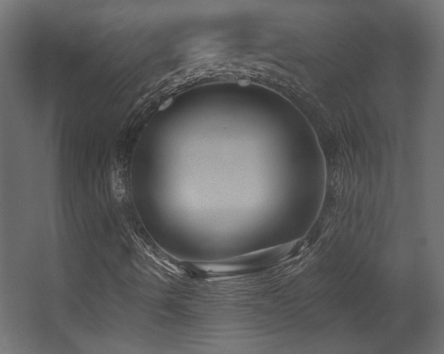 X0000068321490200604211151