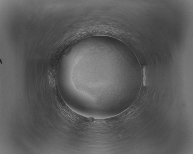X0000068321491200604211151