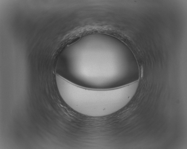 X0000068321492200604211151