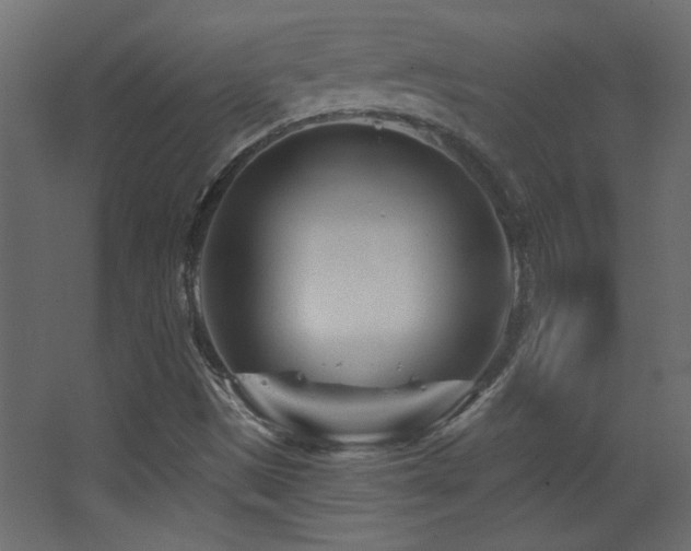X0000068321497200604211151