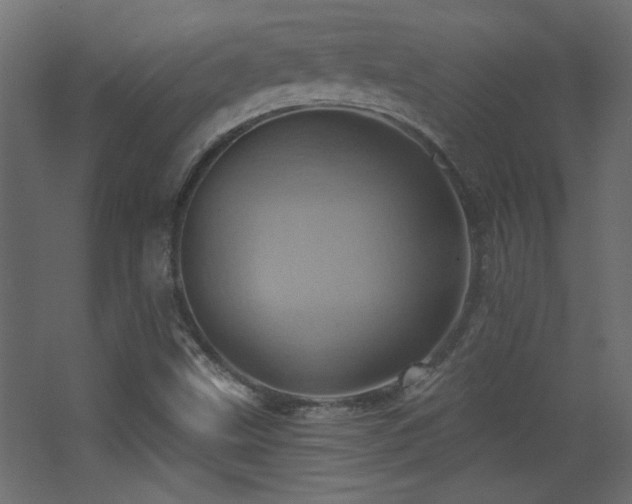 X0000068321499200604211151