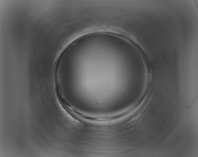 X0000068321500200604211151