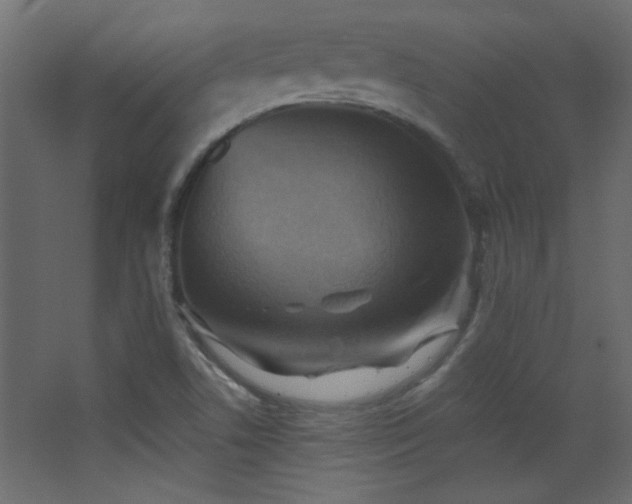 X0000068321506200604211152