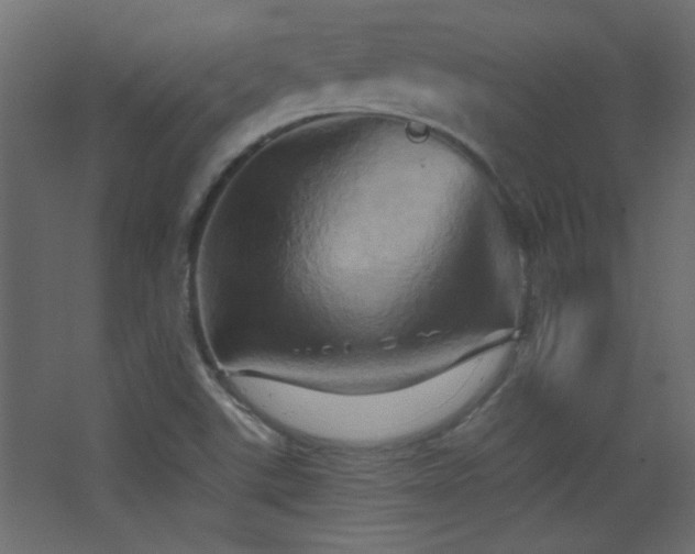 X0000068321507200604211152