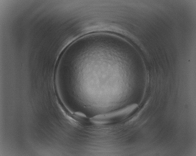 X0000068321513200604211152