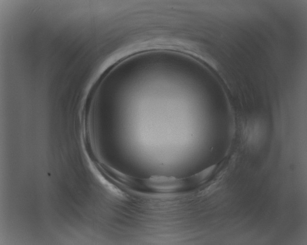 X0000068321515200604211152