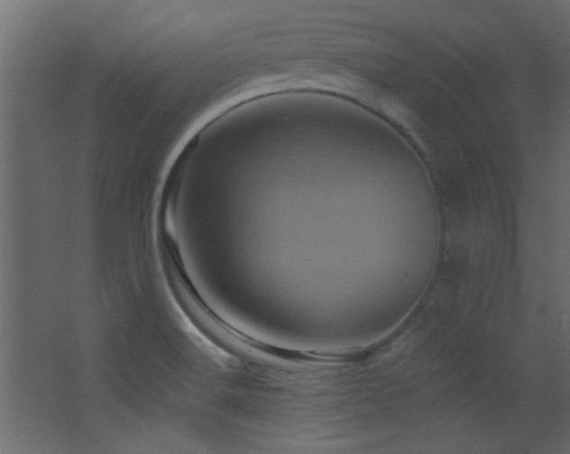 X0000068321516200604211152