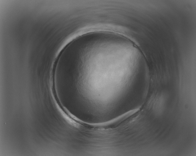 X0000068321523200604211152