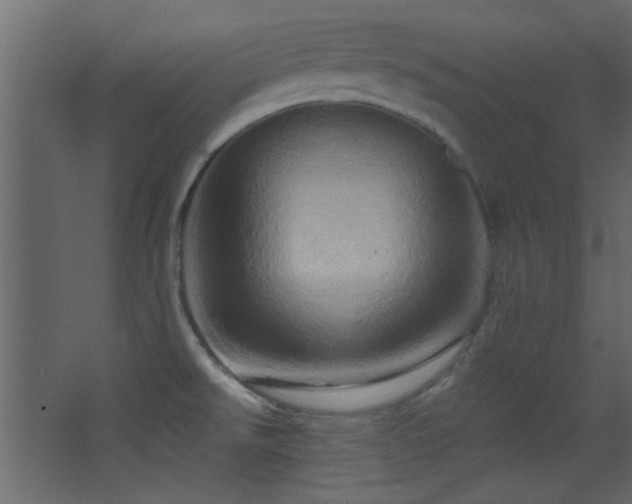 X0000068321526200604211152