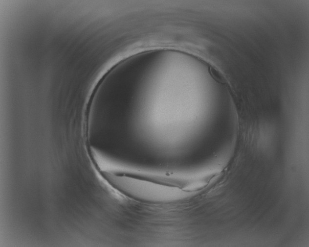 X0000068321527200604211152