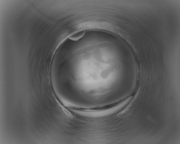 X0000068321529200604211152