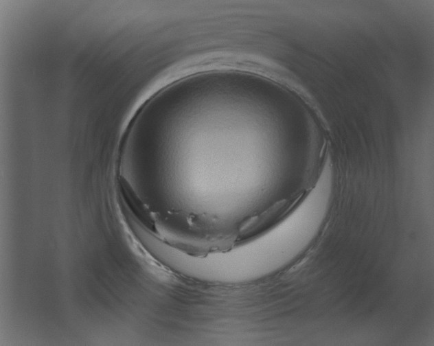 X0000068321530200604211152