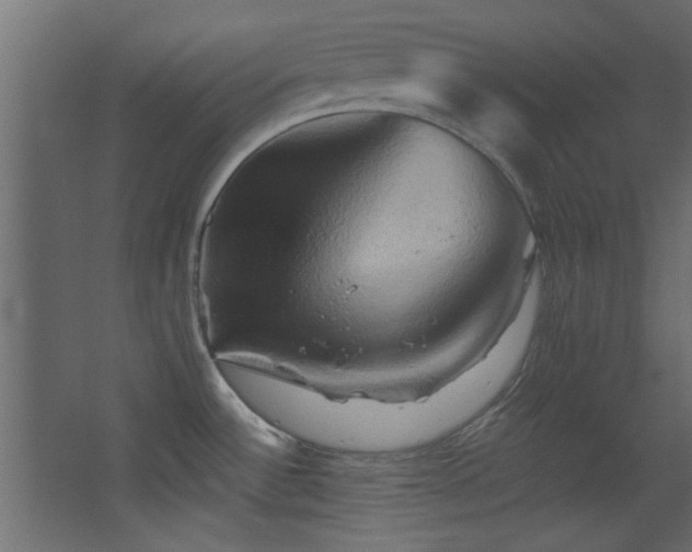 X0000068321532200604211152