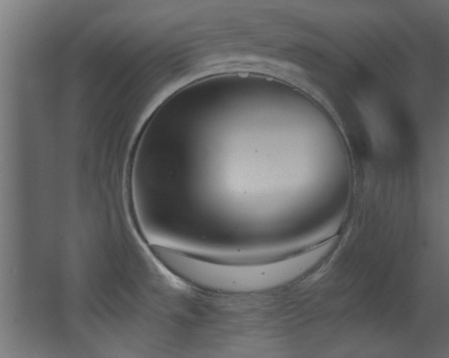 X0000068321533200604211152