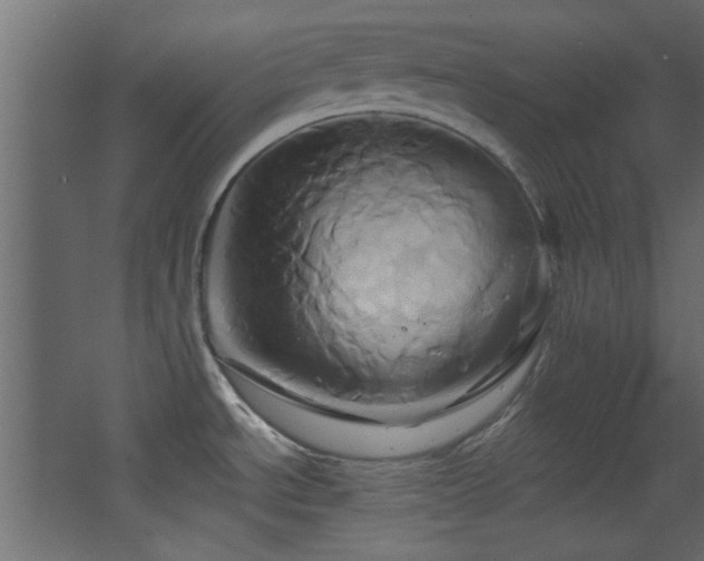 X0000068321534200604211152