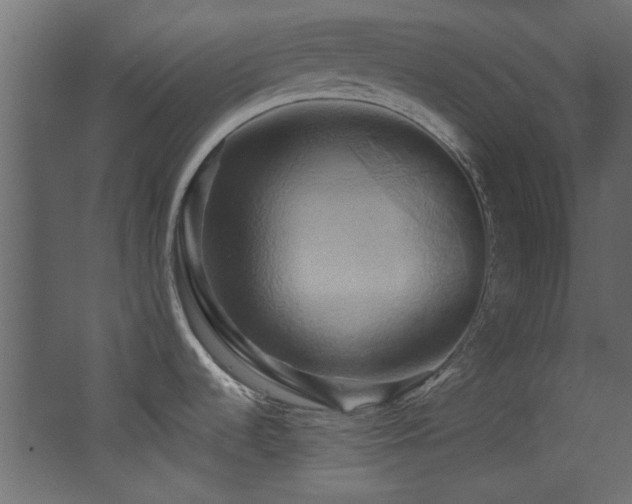 X0000068321536200604211152