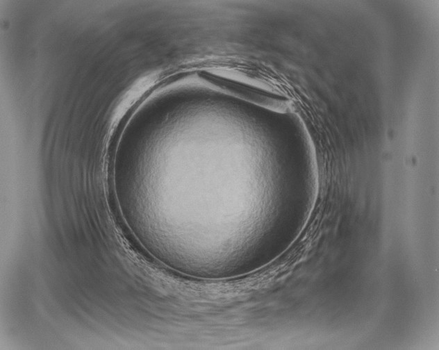 X0000068320006200604241350