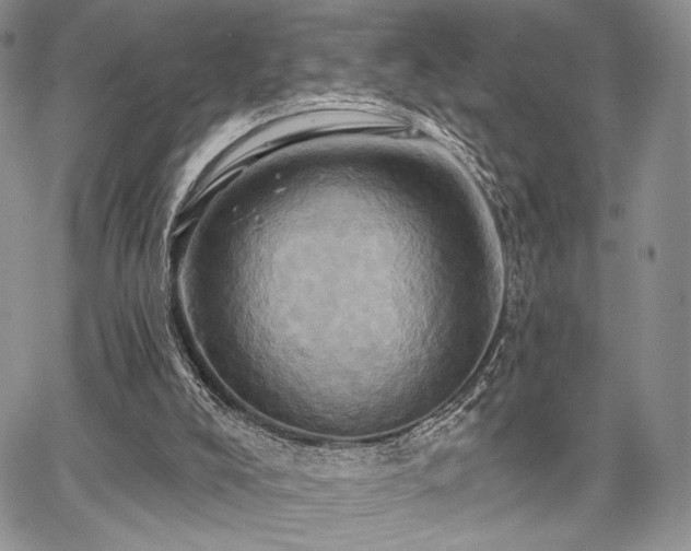 X0000068320008200604241350