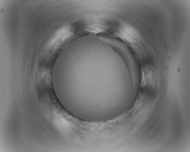 X0000068320037200604241350