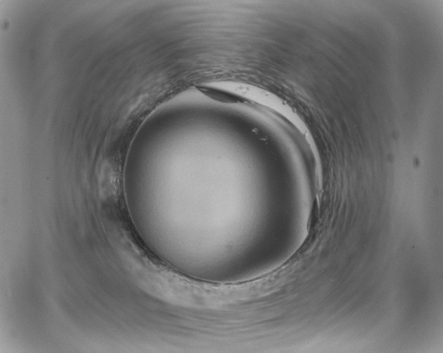 X0000068320039200604241350